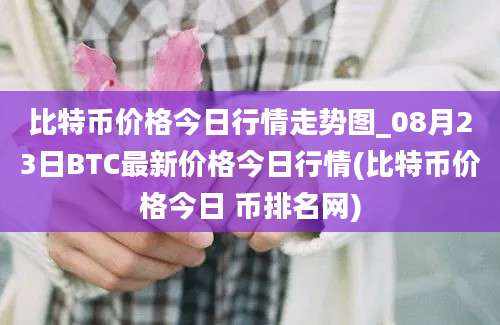 比特币价格今日行情走势图_08月23日BTC最新价格今日行情(比特币价格今日 币排名网)