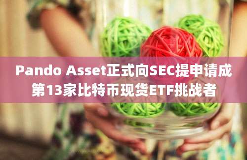 Pando Asset正式向SEC提申请成第13家比特币现货ETF挑战者