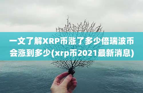 一文了解XRP币涨了多少倍瑞波币会涨到多少(xrp币2021最新消息)