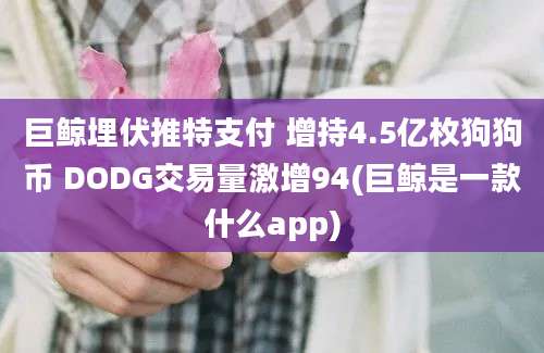 巨鲸埋伏推特支付 增持4.5亿枚狗狗币 DODG交易量激增94(巨鲸是一款什么app)