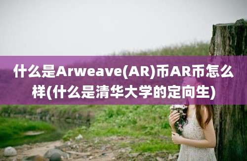 什么是Arweave(AR)币AR币怎么样(什么是清华大学的定向生)