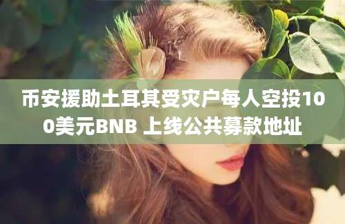 币安援助土耳其受灾户每人空投100美元BNB 上线公共募款地址