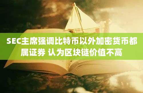 SEC主席强调比特币以外加密货币都属证券 认为区块链价值不高