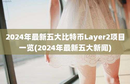 2024年最新五大比特币Layer2项目一览(2024年最新五大新闻)