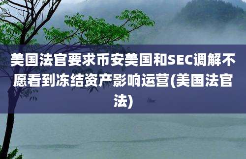 美国法官要求币安美国和SEC调解不愿看到冻结资产影响运营(美国法官法)