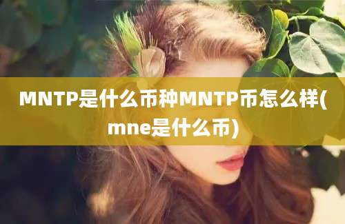 MNTP是什么币种MNTP币怎么样(mne是什么币)