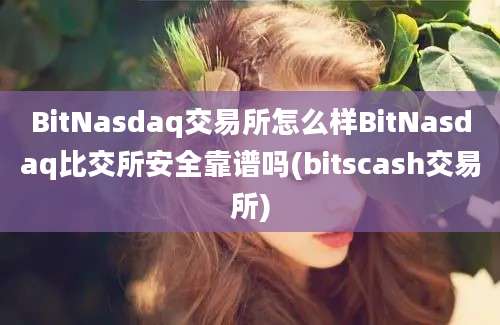 BitNasdaq交易所怎么样BitNasdaq比交所安全靠谱吗(bitscash交易所)