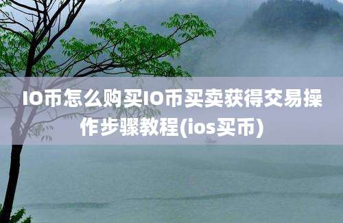 IO币怎么购买IO币买卖获得交易操作步骤教程(ios买币)