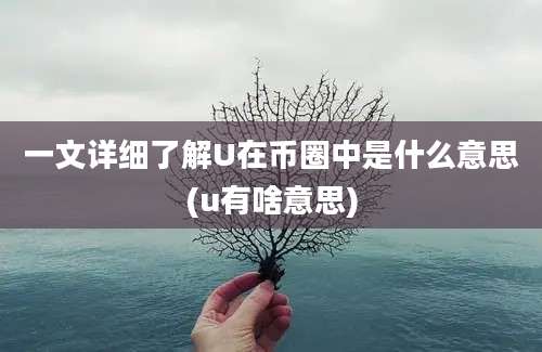 一文详细了解U在币圈中是什么意思(u有啥意思)