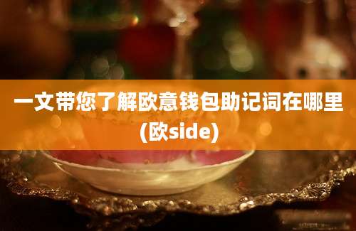 一文带您了解欧意钱包助记词在哪里(欧side)