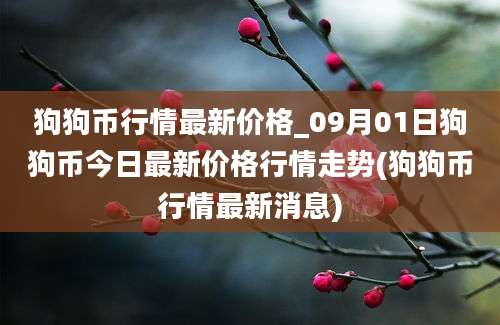 狗狗币行情最新价格_09月01日狗狗币今日最新价格行情走势(狗狗币行情最新消息)