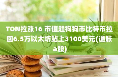 TON拉涨16 市值超狗狗币比特币拉回6.5万以太坊站上3100美元(通胀 a股)