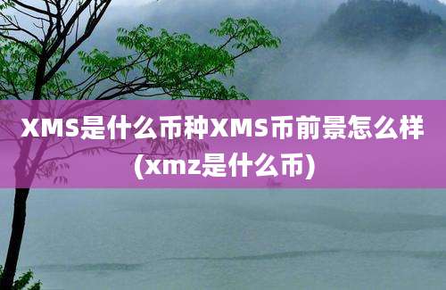 XMS是什么币种XMS币前景怎么样(xmz是什么币)