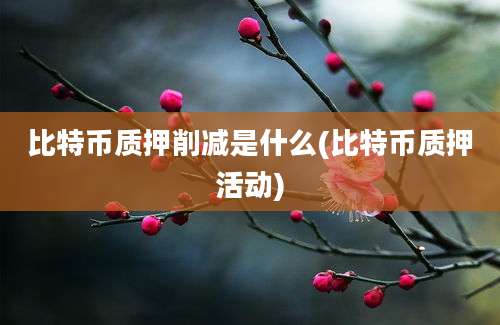 比特币质押削减是什么(比特币质押活动)