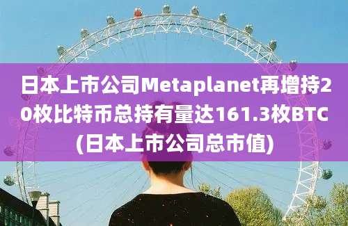 日本上市公司Metaplanet再增持20枚比特币总持有量达161.3枚BTC(日本上市公司总市值)