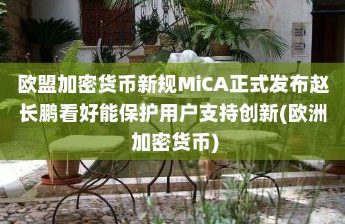 欧盟加密货币新规MiCA正式发布赵长鹏看好能保护用户支持创新(欧洲 加密货币)