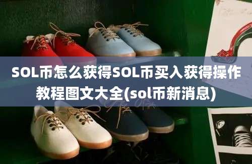 SOL币怎么获得SOL币买入获得操作教程图文大全(sol币新消息)