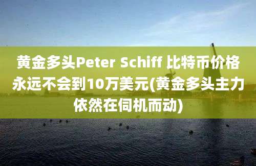 黄金多头Peter Schiff 比特币价格永远不会到10万美元(黄金多头主力依然在伺机而动)