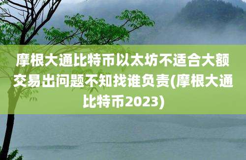 摩根大通比特币以太坊不适合大额交易出问题不知找谁负责(摩根大通比特币2023)