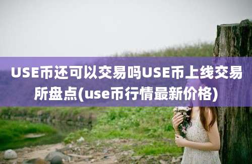 USE币还可以交易吗USE币上线交易所盘点(use币行情最新价格)