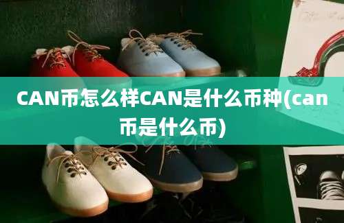 CAN币怎么样CAN是什么币种(can币是什么币)