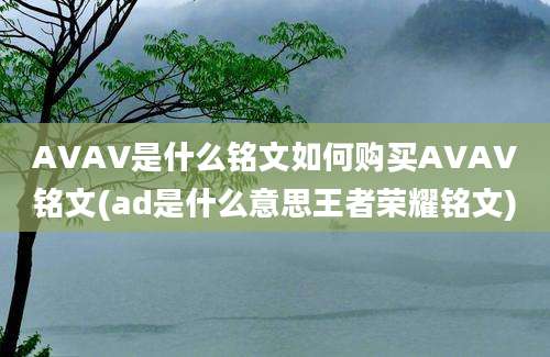 AVAV是什么铭文如何购买AVAV铭文(ad是什么意思王者荣耀铭文)