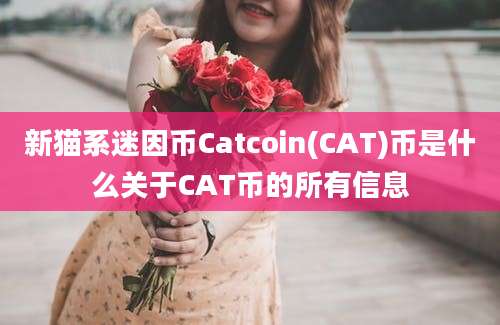 新猫系迷因币Catcoin(CAT)币是什么关于CAT币的所有信息