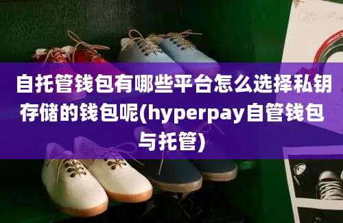 自托管钱包有哪些平台怎么选择私钥存储的钱包呢(hyperpay自管钱包与托管)