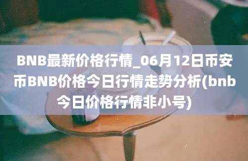 BNB最新价格行情_06月12日币安币BNB价格今日行情走势分析(bnb今日价格行情非小号)