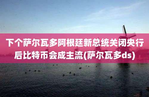 下个萨尔瓦多阿根廷新总统关闭央行后比特币会成主流(萨尔瓦多ds)