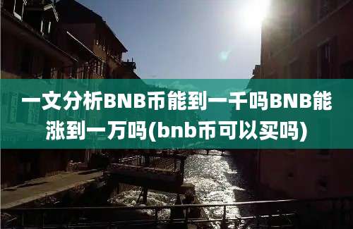 一文分析BNB币能到一千吗BNB能涨到一万吗(bnb币可以买吗)