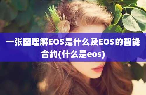 一张图理解EOS是什么及EOS的智能合约(什么是eos)