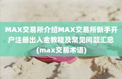 MAX交易所介绍MAX交易所新手开户注册出入金教程及常见问题汇总(max交易术语)