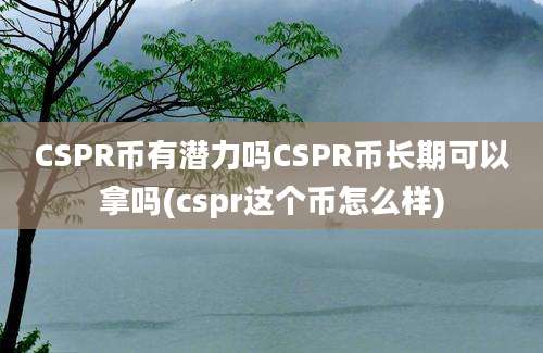 CSPR币有潜力吗CSPR币长期可以拿吗(cspr这个币怎么样)