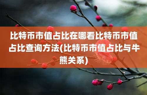 比特币市值占比在哪看比特币市值占比查询方法(比特币市值占比与牛熊关系)