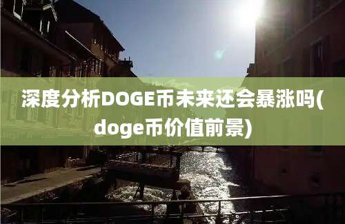 深度分析DOGE币未来还会暴涨吗(doge币价值前景)