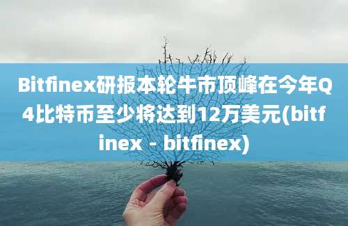 Bitfinex研报本轮牛市顶峰在今年Q4比特币至少将达到12万美元(bitfinex - bitfinex)