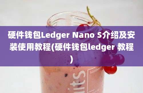 硬件钱包Ledger Nano S介绍及安装使用教程(硬件钱包ledger 教程)