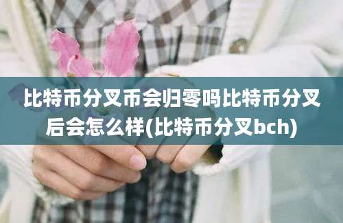 比特币分叉币会归零吗比特币分叉后会怎么样(比特币分叉bch)