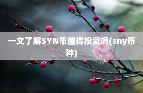 一文了解SYN币值得投资吗(sny币种)