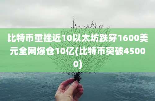 比特币重挫近10以太坊跌穿1600美元全网爆仓10亿(比特币突破45000)