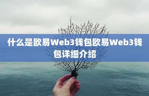 什么是欧易Web3钱包欧易Web3钱包详细介绍