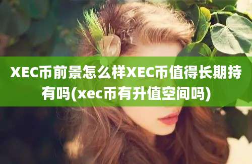 XEC币前景怎么样XEC币值得长期持有吗(xec币有升值空间吗)