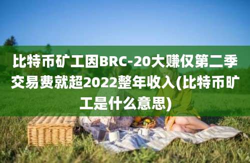 比特币矿工因BRC-20大赚仅第二季交易费就超2022整年收入(比特币旷工是什么意思)