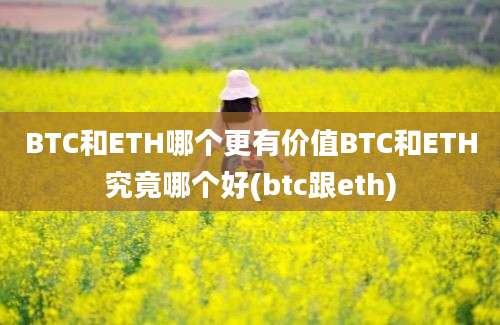 BTC和ETH哪个更有价值BTC和ETH究竟哪个好(btc跟eth)