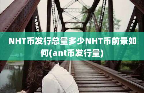 NHT币发行总量多少NHT币前景如何(ant币发行量)