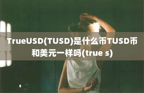 TrueUSD(TUSD)是什么币TUSD币和美元一样吗(true s)