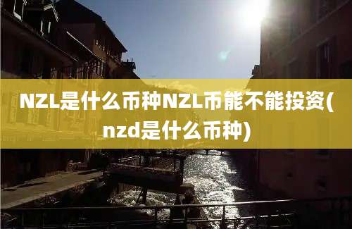 NZL是什么币种NZL币能不能投资(nzd是什么币种)