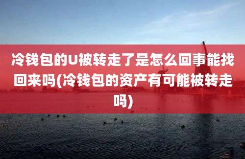 冷钱包的U被转走了是怎么回事能找回来吗(冷钱包的资产有可能被转走吗)