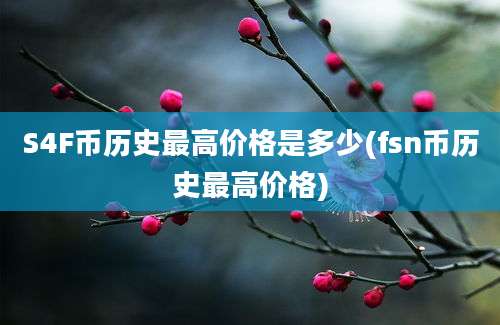 S4F币历史最高价格是多少(fsn币历史最高价格)